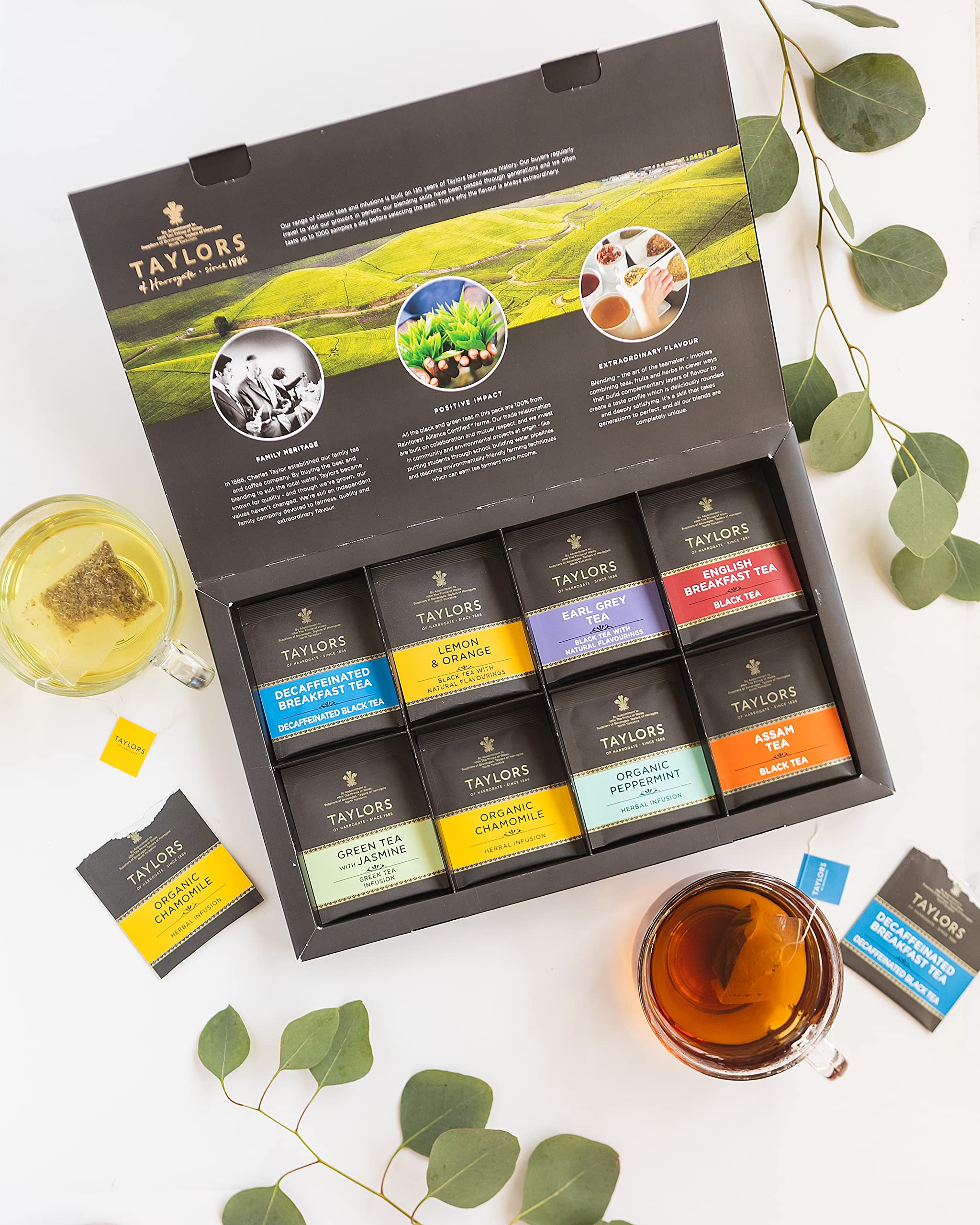 Taylors Tea Sampler Image 4